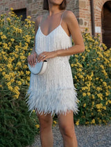 Valmira | Women’s Feather-Trim Shimmer Mini Dress